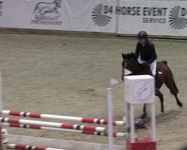 Reitturnier Prussendorf 2024