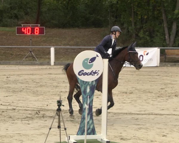 Reitturnier Forst 2021