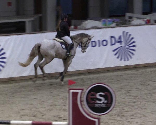 Reitturnier Prussendorf 2024