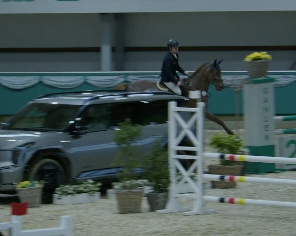 Reitturnier Gahlen 2024