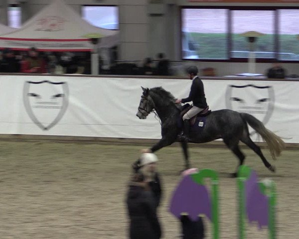 Reitturnier Prussendorf 2024