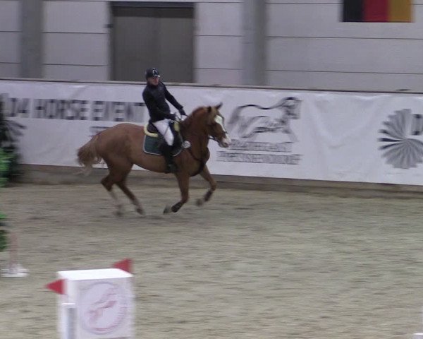 Reitturnier Prussendorf 2024