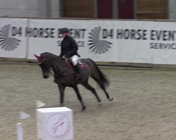 Reitturnier Prussendorf 2024