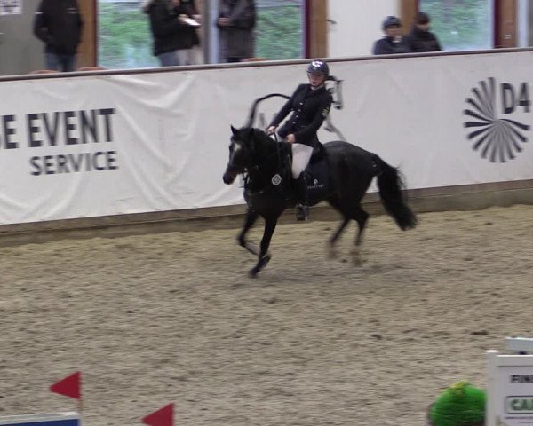 Reitturnier Prussendorf 2024