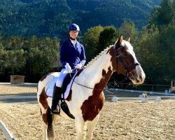 dressage horse Wildfang 18 (Pinto, 2010, from Wizard)