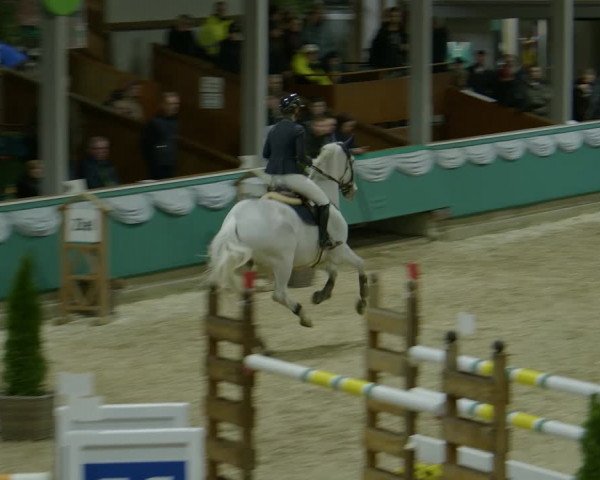 Reitturnier Gahlen 2024