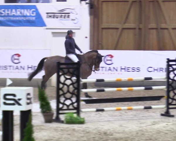 4. Nordic Jumping event Negernbötel 2024