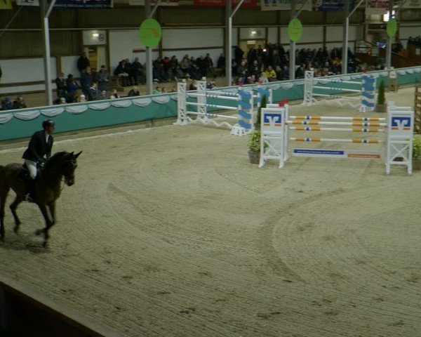 Reitturnier Gahlen 2024