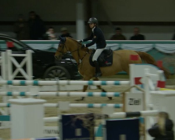 Reitturnier Gahlen 2024