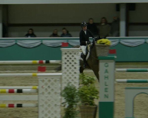 Reitturnier Gahlen 2024
