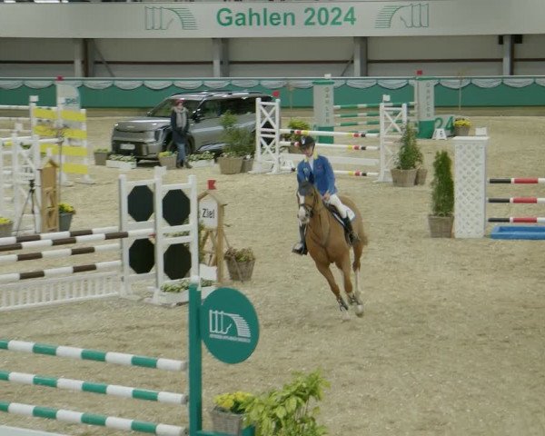 Reitturnier Gahlen 2024
