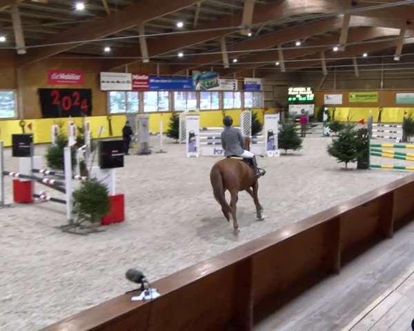 Reitturnier Dielsdorf 2024
