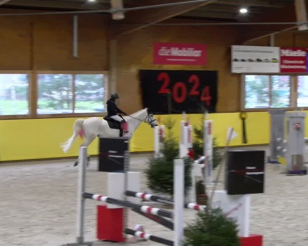 Reitturnier Dielsdorf 2024