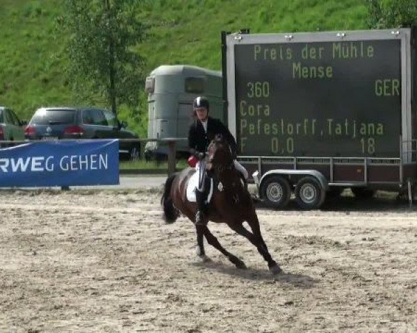 Dorsten 2011