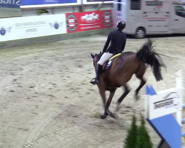 4. Nordic Jumping event Negernbötel 2024