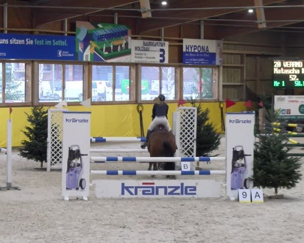 Reitturnier Dielsdorf 2024
