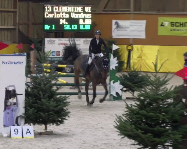 Reitturnier Dielsdorf 2024