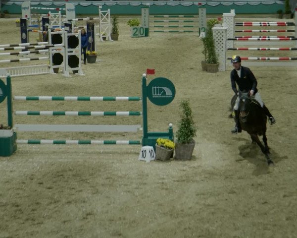 Reitturnier Gahlen 2024