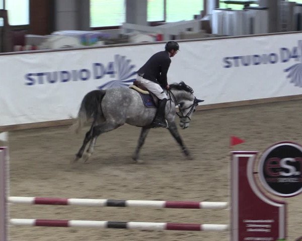 Reitturnier Prussendorf 2024