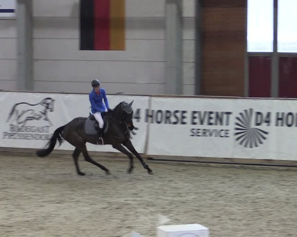 Reitturnier Prussendorf 2024