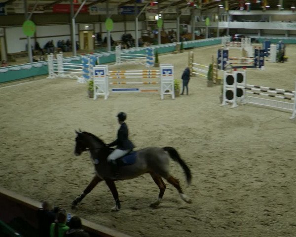 Reitturnier Gahlen 2024