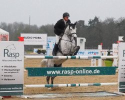 jumper Vienna Quintera (Holsteiner, 2005, from Quintero)