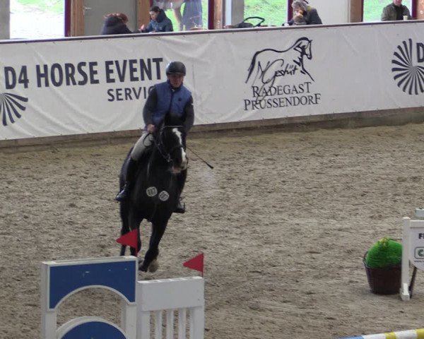 Reitturnier Prussendorf 2024