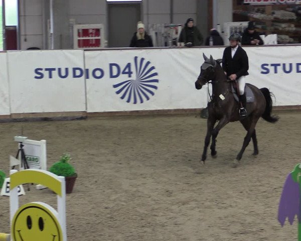 Reitturnier Prussendorf 2024