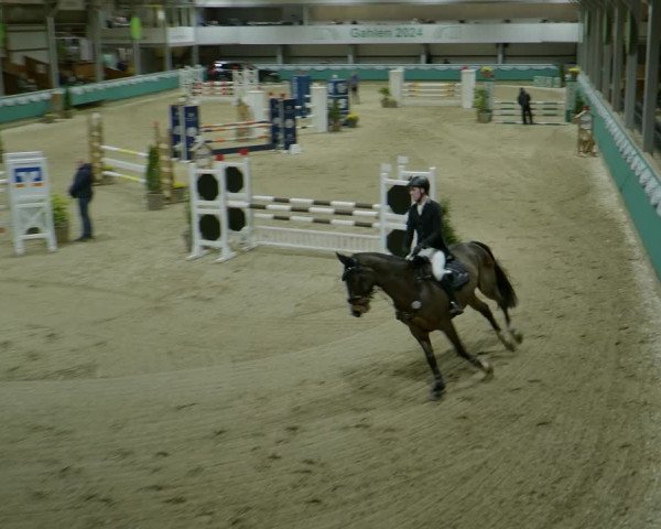 Reitturnier Gahlen 2024