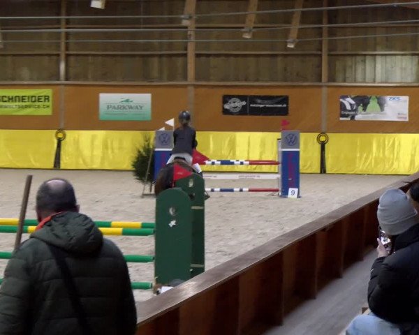Reitturnier Dielsdorf 2024
