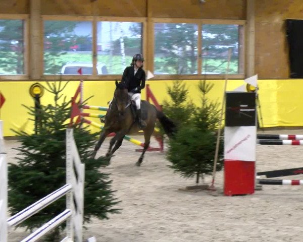 Reitturnier Dielsdorf 2024
