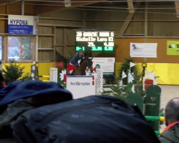 Reitturnier Dielsdorf 2024