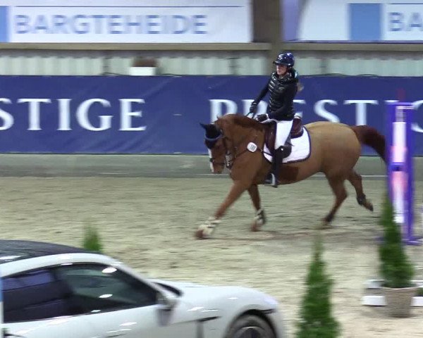 4. Nordic Jumping event Negernbötel 2024