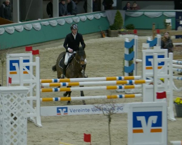Reitturnier Gahlen 2024