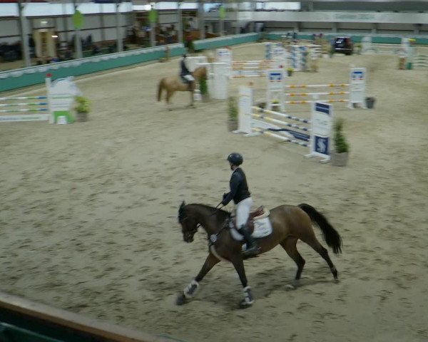 Reitturnier Gahlen 2024