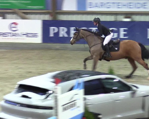 4. Nordic Jumping event Negernbötel 2024