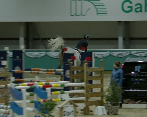 Reitturnier Gahlen 2024