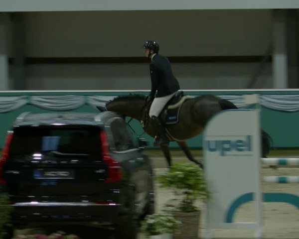 Reitturnier Gahlen 2024