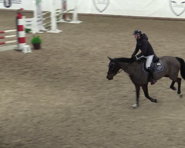 Reitturnier Prussendorf 2024