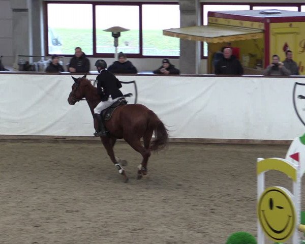 Reitturnier Prussendorf 2024