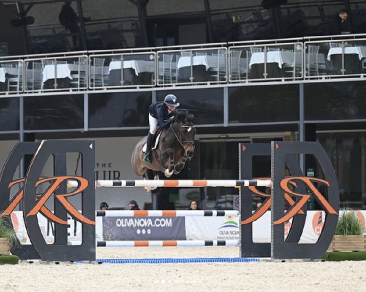 Jumper Fetoucha (KWPN (Dutch Warmblood), 2010, from Zacharov Tn)