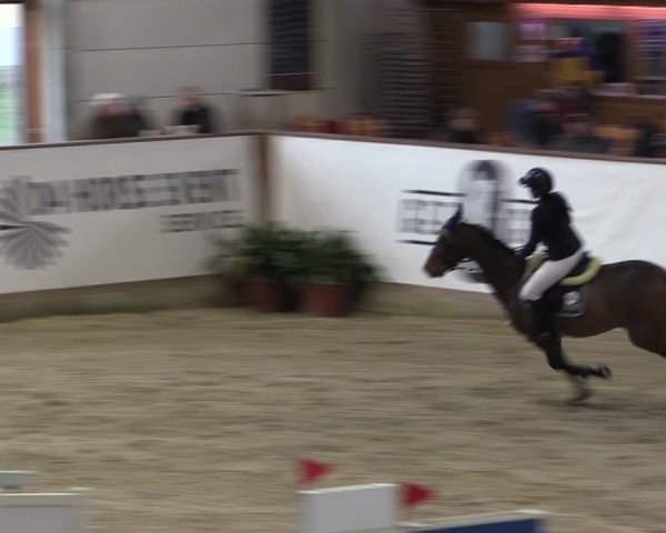 Reitturnier Prussendorf 2024