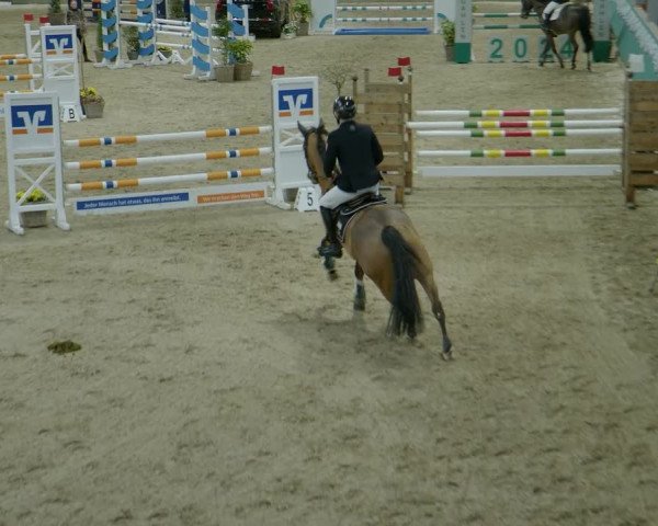 Reitturnier Gahlen 2024