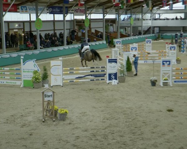 Reitturnier Gahlen 2024