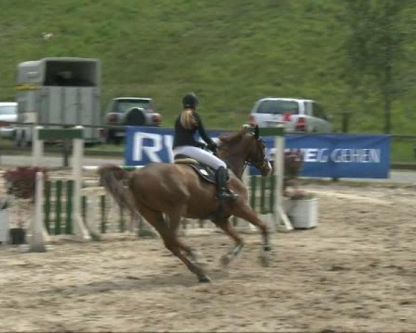Dorsten 2011