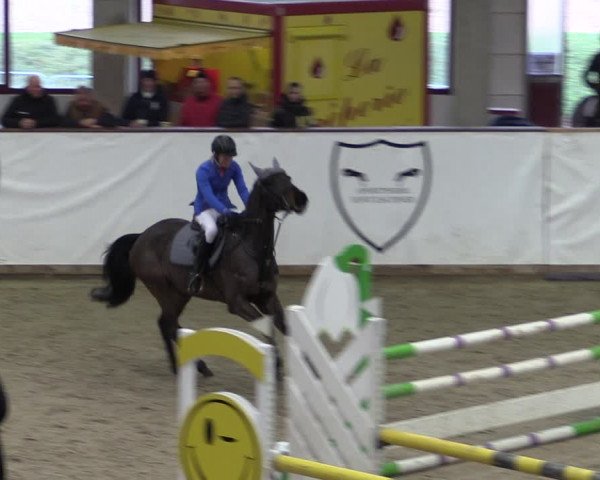 Reitturnier Prussendorf 2024