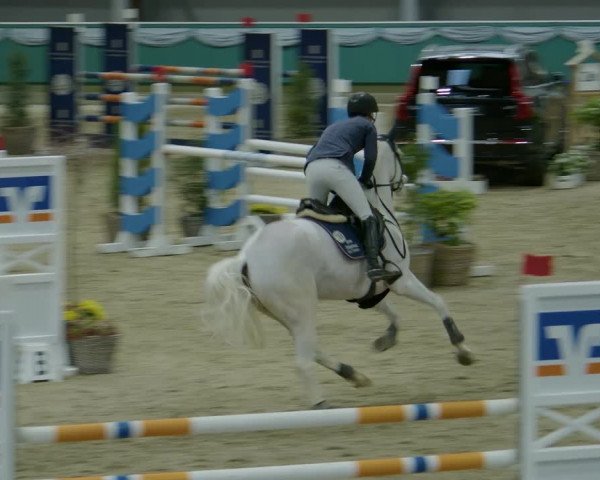 Reitturnier Gahlen 2024