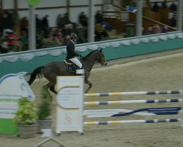 Reitturnier Gahlen 2024