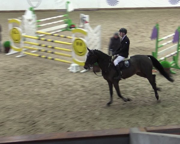 Reitturnier Prussendorf 2024
