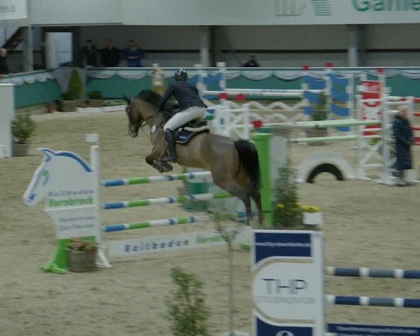 Reitturnier Gahlen 2024